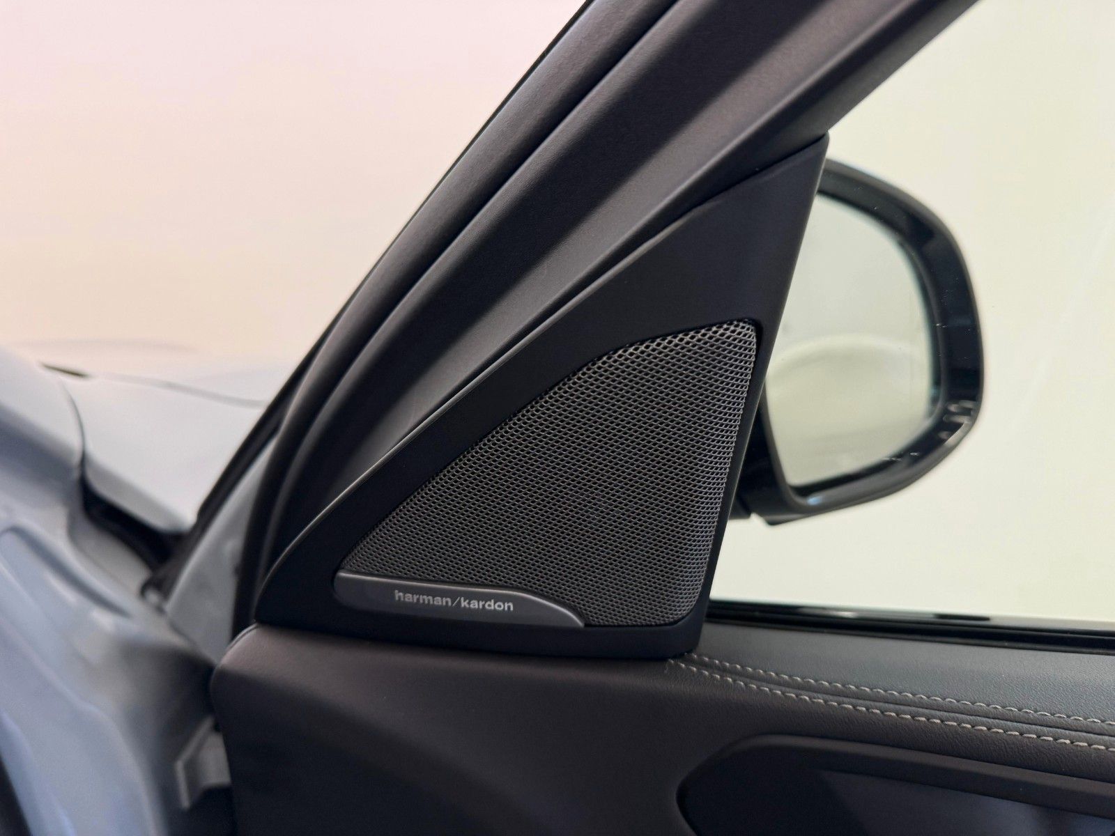 Fahrzeugabbildung BMW X6 40d xDrive M Sport ACC,HUD,PANO,HARMAN,LUFT,.