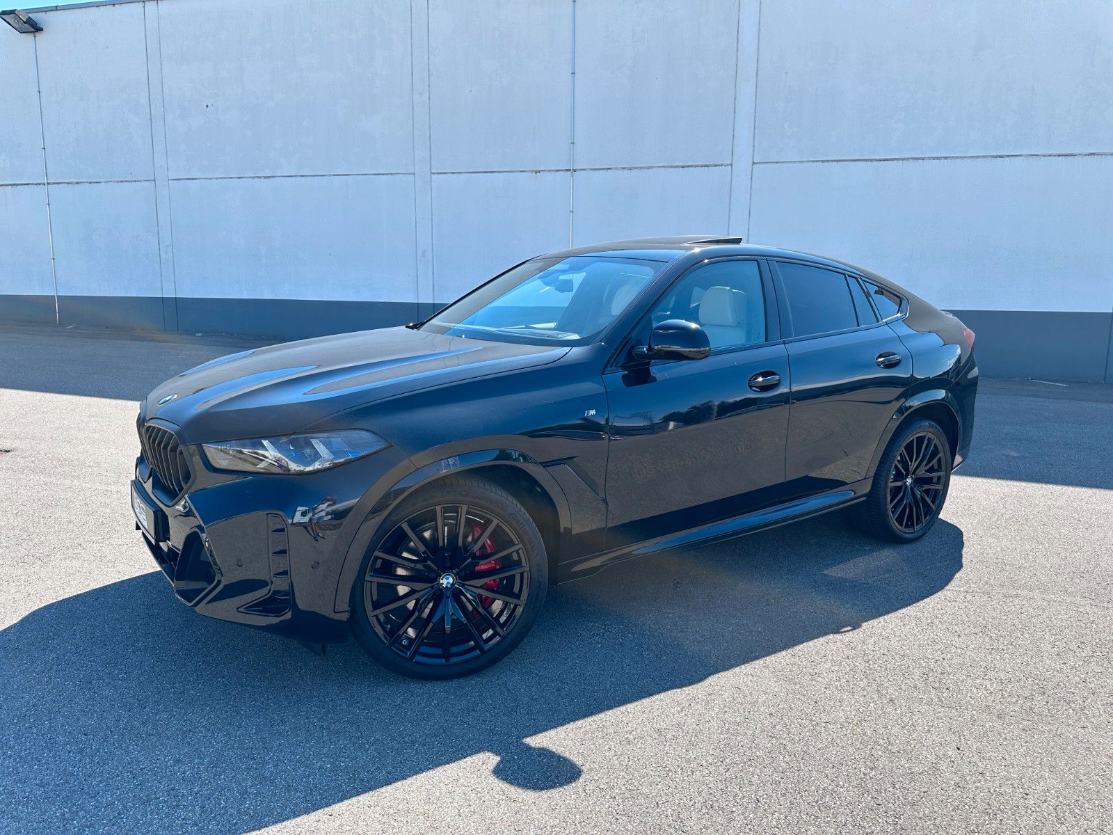 Fahrzeugabbildung BMW X6 30 d xDrive M Sport |Individual|MWST AUSW|