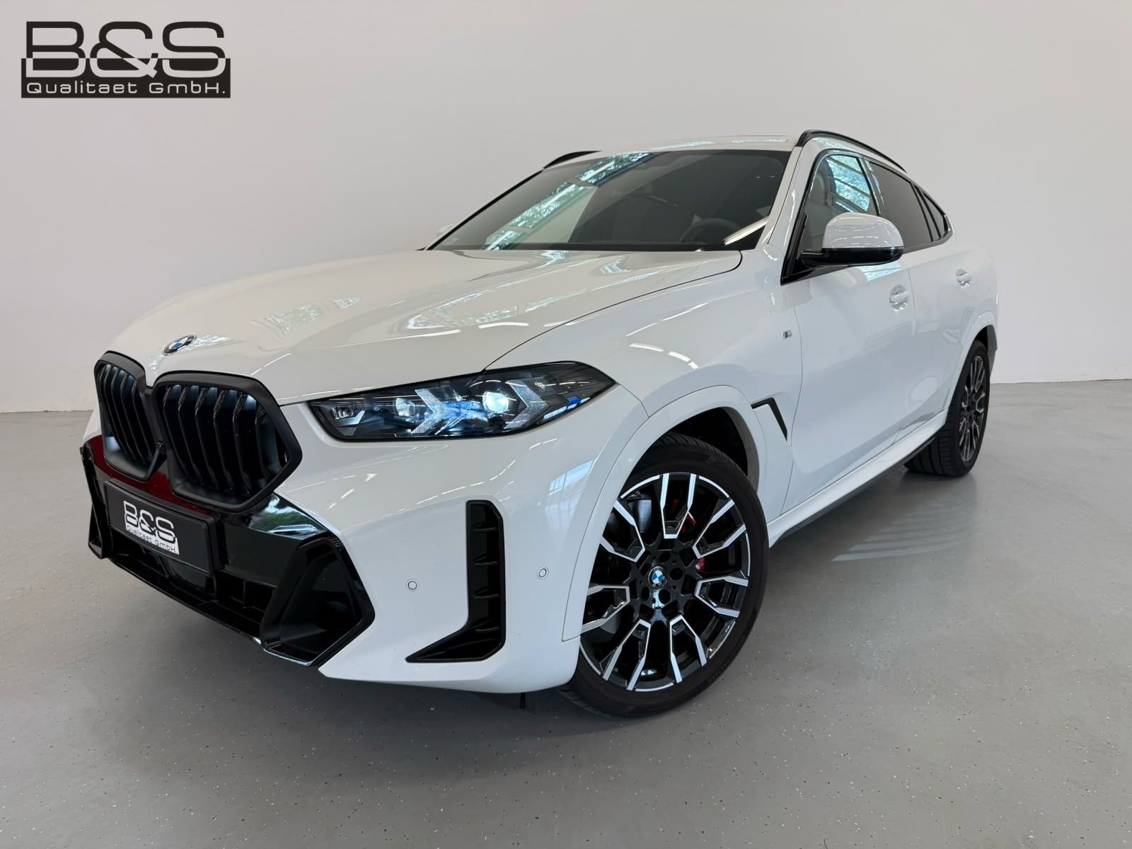 Fahrzeugabbildung BMW X6 30 d xDrive M Sport ACC|HUD|PANO|HARMAN|LUF